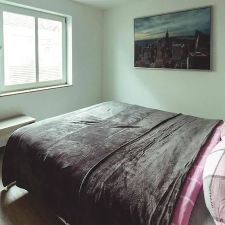 Apartamento Stadtwohnung Am Alleenring